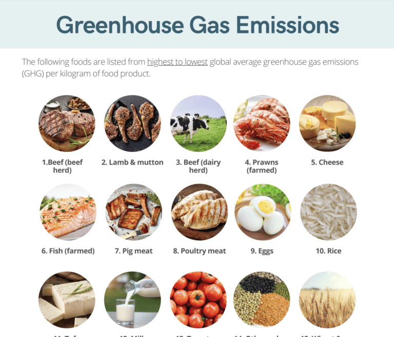 Greenhouse Gas Emissions, Plant-Based Eating, Environmentally Friendly Food