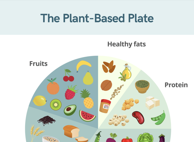 plant based plate