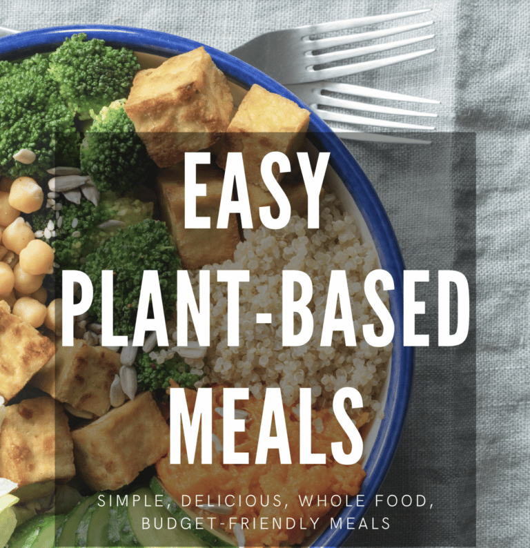 easy plant based meals recipe book