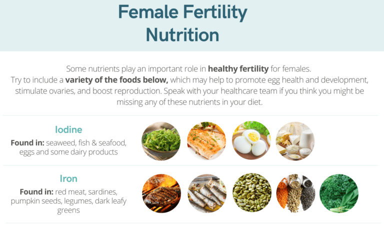 Female Fertility Nutrition
