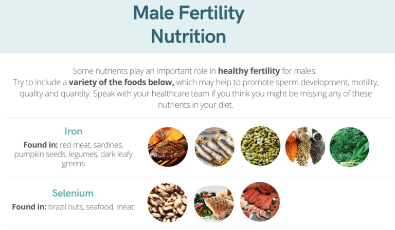Male Fertility Nutrition