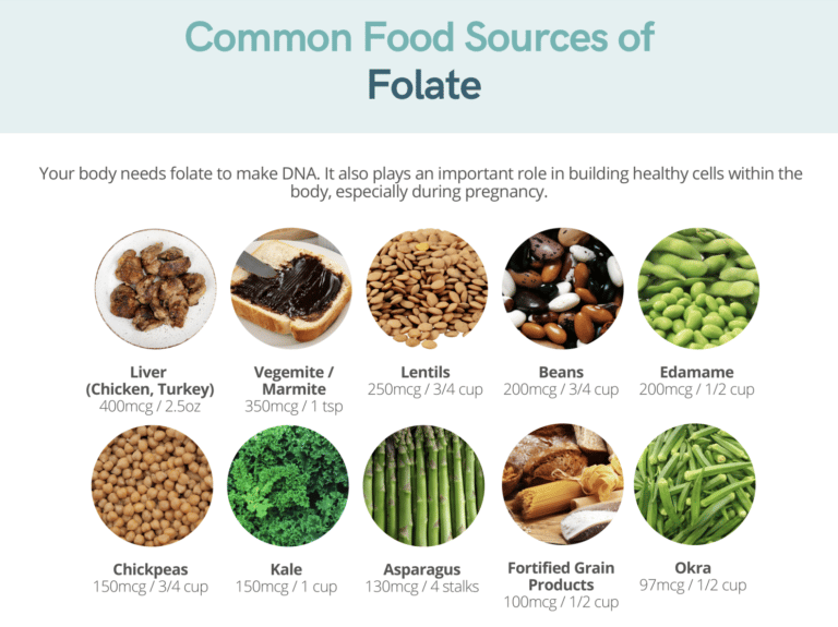 food sources of folate