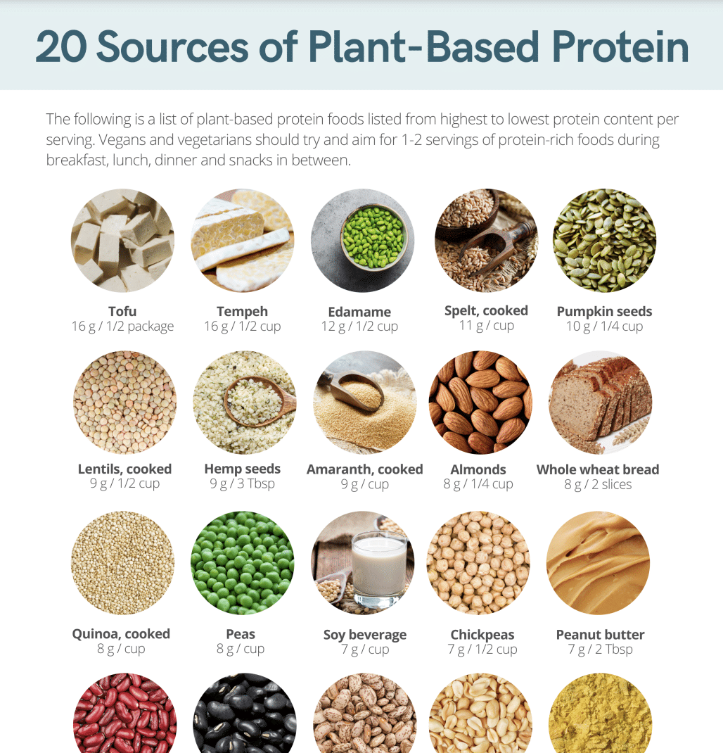 Macronutrients Archives